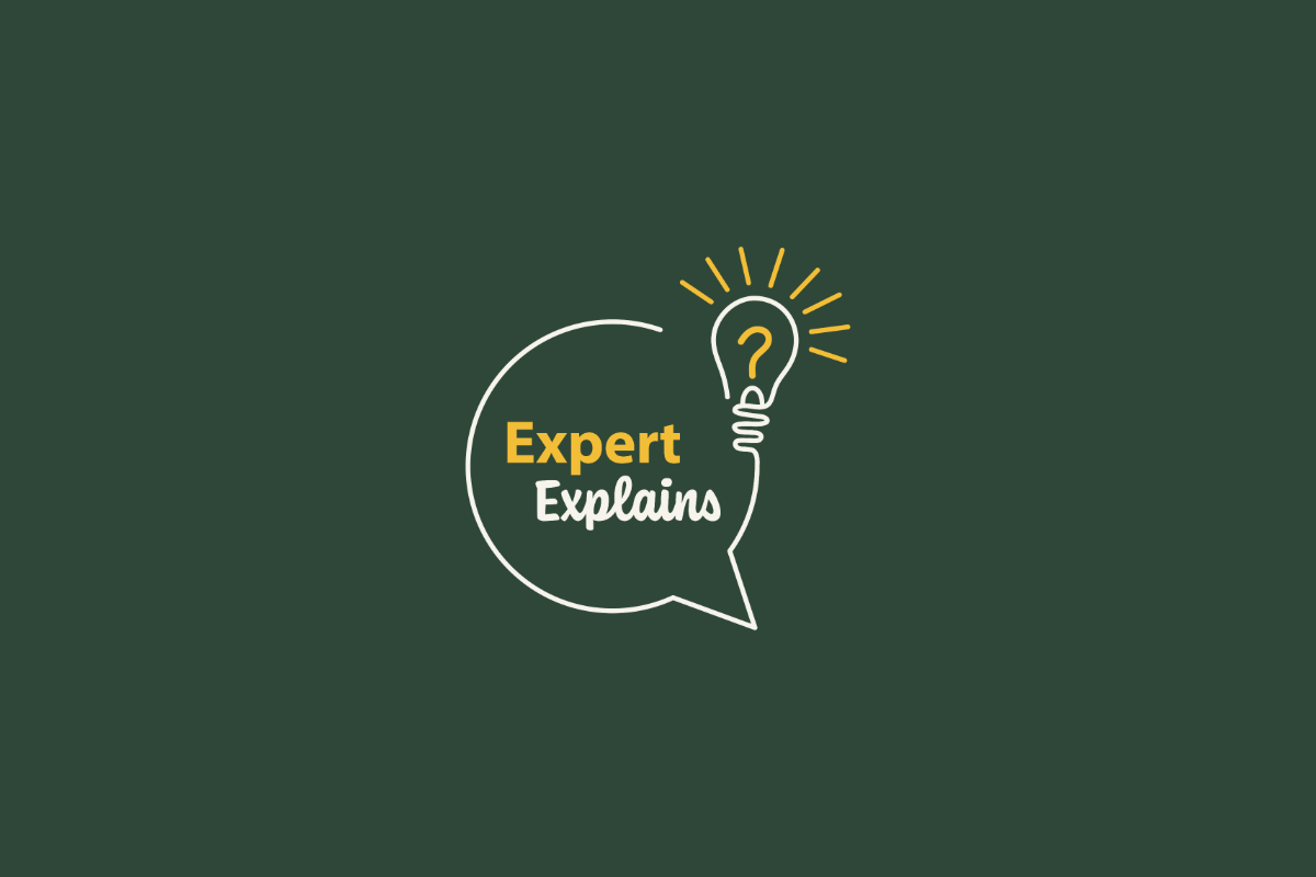 expert explains logo