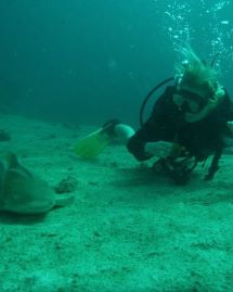 A female diver