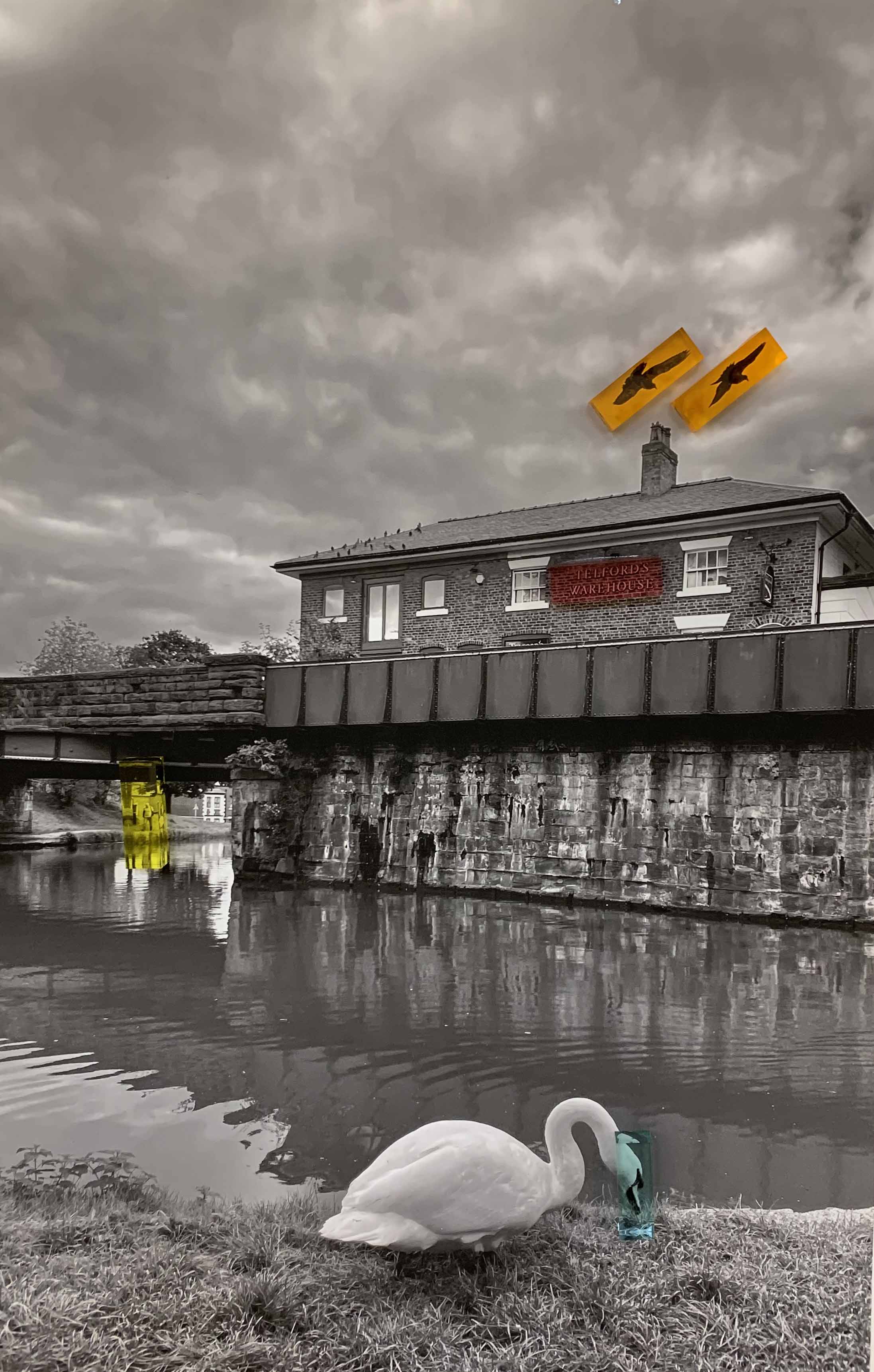Yildiz Elis Yildirim artwork of a white swan is perched on the river shore, its reflection visible in the water, amidst a serene natural setting.