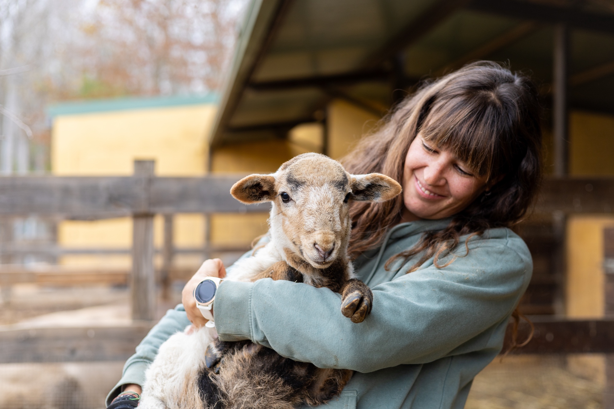 Happy young farmer woman hugging a baby sheep on a rural farm.
