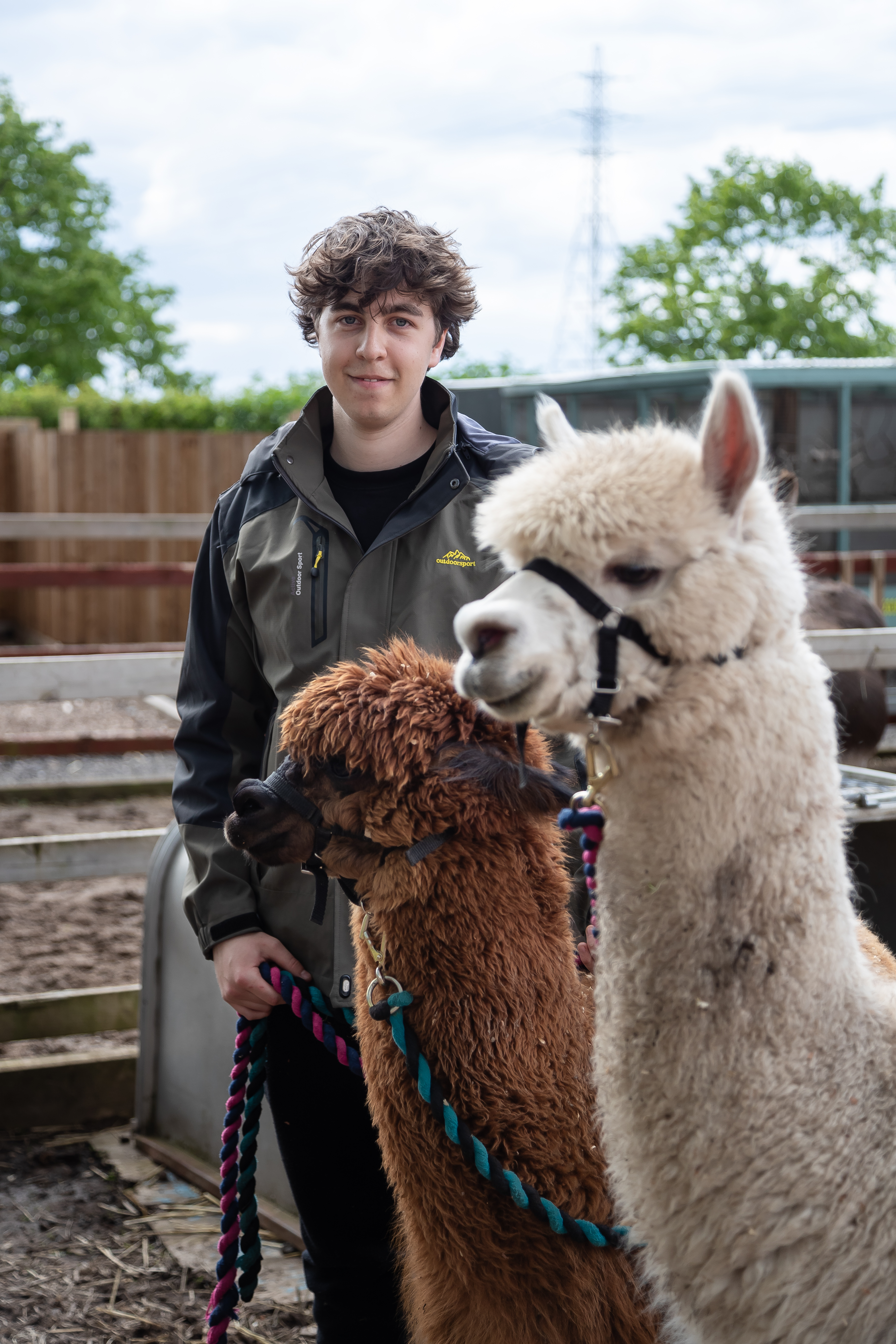 biovet student at work placement with llamas