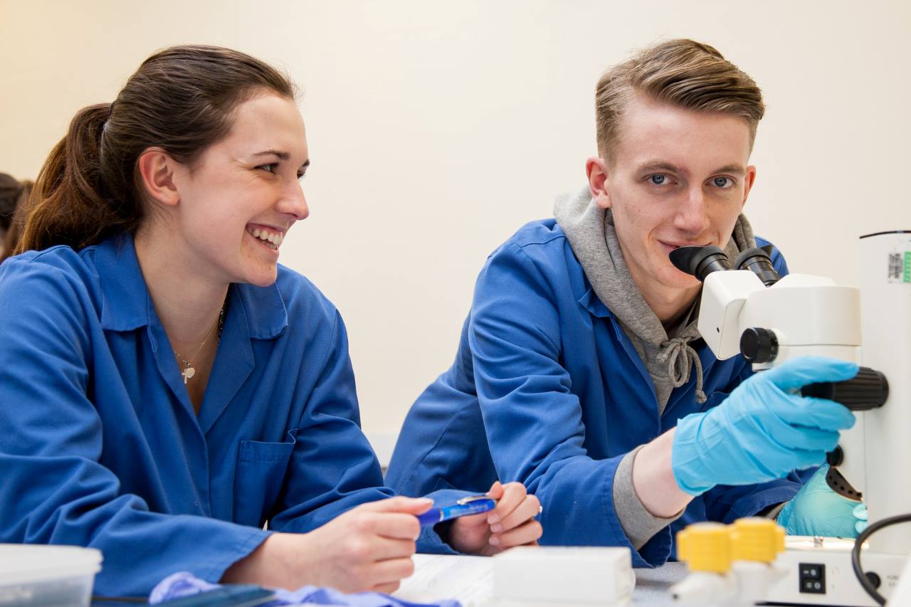 Two Biology BSc students using microscope equipment in science lab..