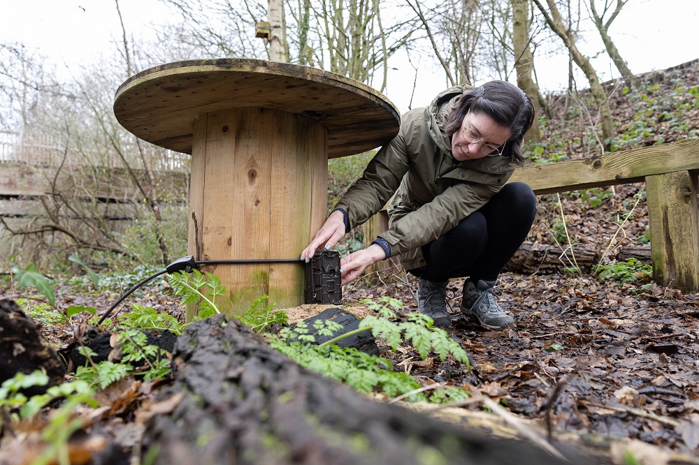 A female researcher outdoors positioning a camera on wooden post.