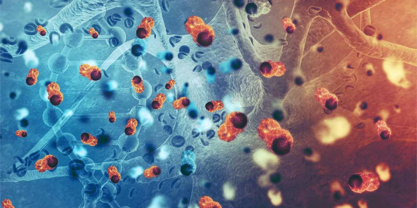 Advanced oncology research illustration showing cancer cells interacting with human tissue and DNA structures, representing cancer biology, tumour development, cancer treatment research, and precision oncology studies for an MSc Oncology degree.