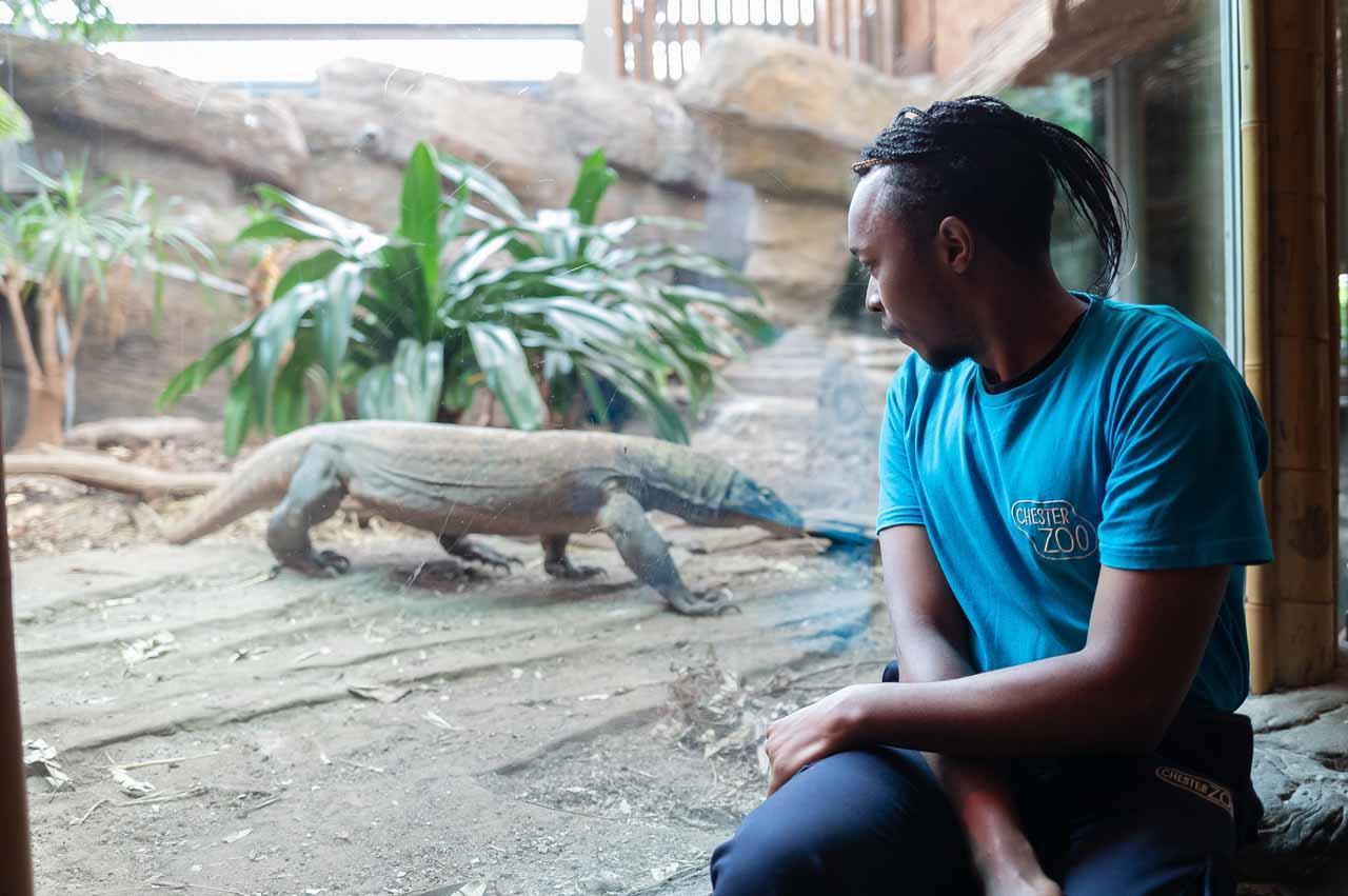 Conservation and Sustainability Education PGCert at University of Chester, featuring hands-on zoo-based learning, wildlife conservation practice, and environmental education in real-world settings.