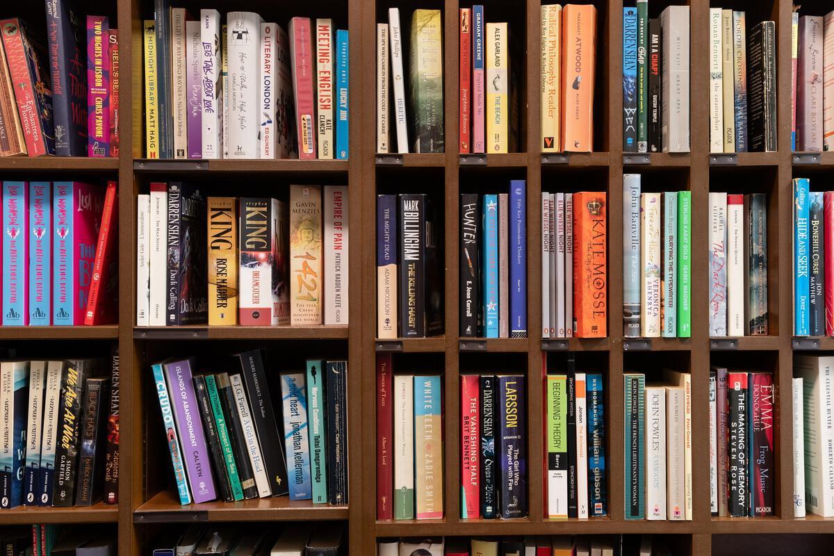 A tall bookcase showcasing numerous books, specifically for an English literature bachelor's degree course.