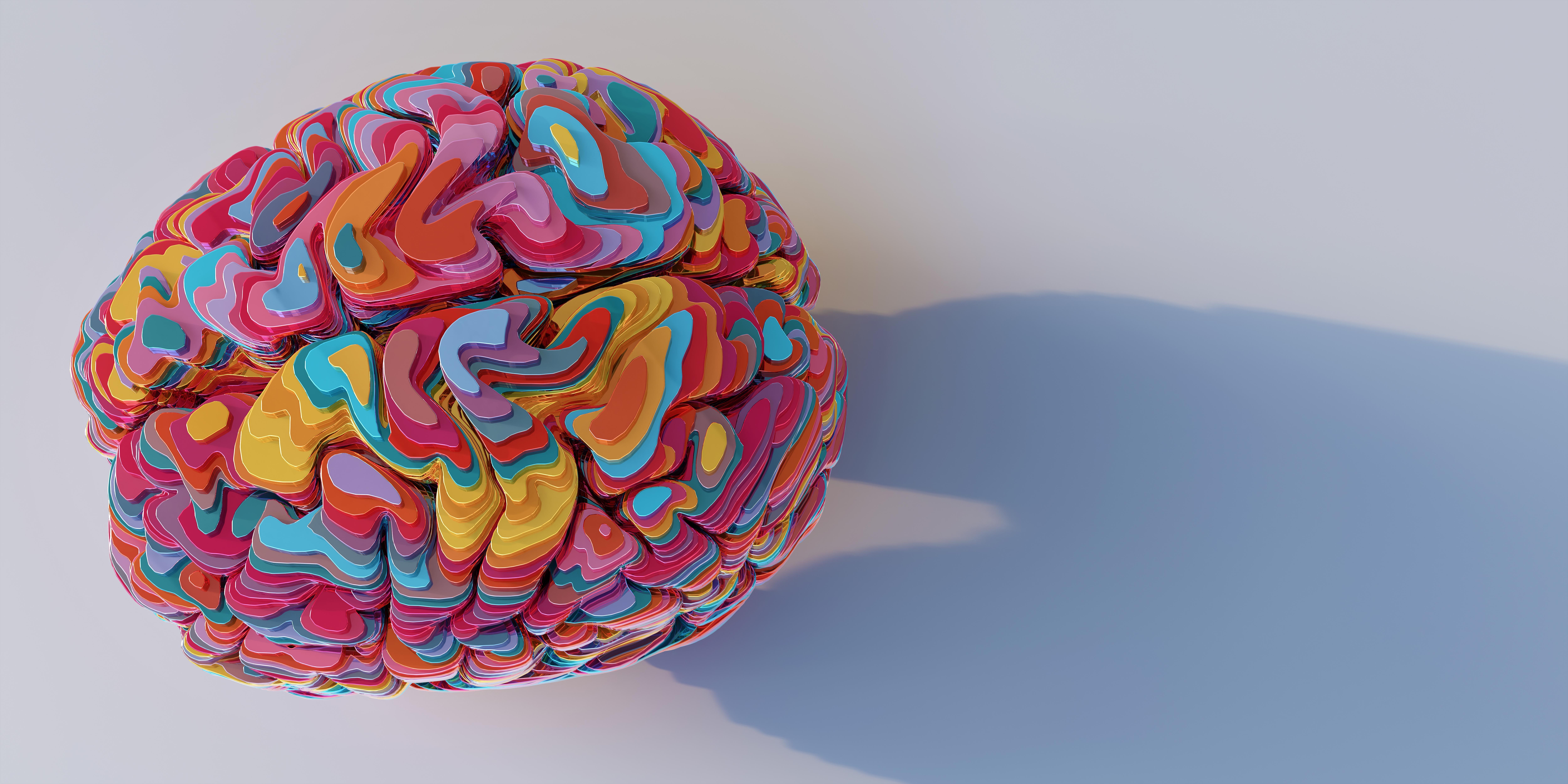 Colourful brain model representing neurodiversity and neurodevelopmental conditions, for the Neurodevelopmental Conditions PGCert at the University of Chester.