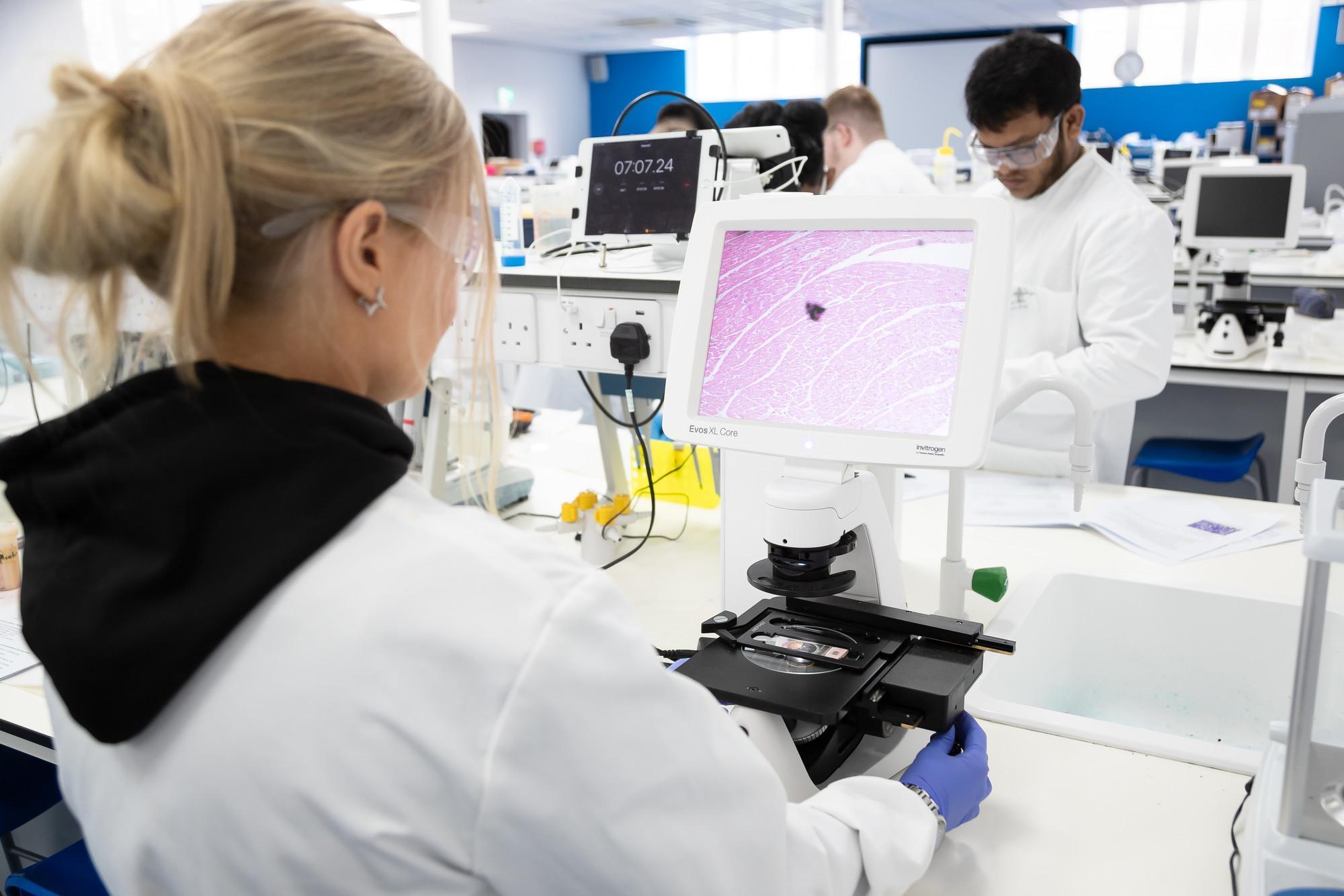 Stem Cells and Regenerative Medicine MSc students using advanced microscopy and laboratory equipment to analyse tissue samples in a biomedical research laboratory, demonstrating stem cell research, regenerative medicine techniques, cell biology and translational healthcare innovation.
