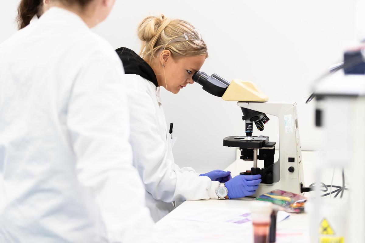 Two students working with a microscope in a lab.