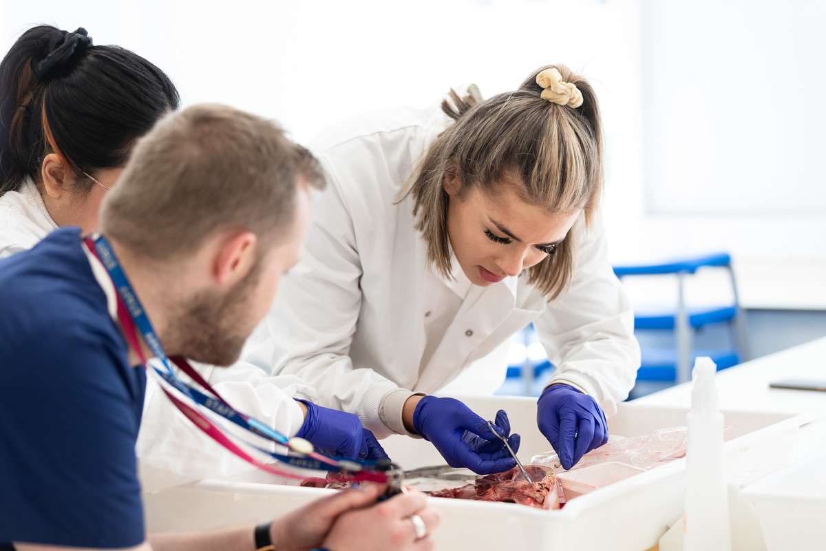 Three students learning practical skills in simulation ward.