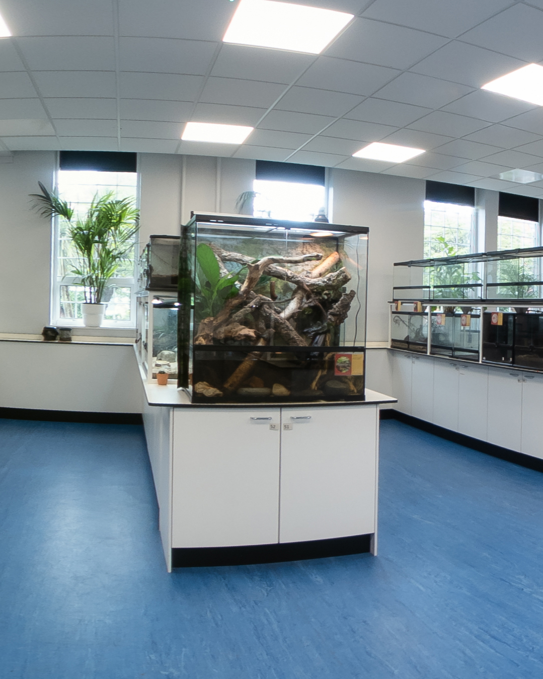 Animal Handling Room - Natural sciences animal room with several large glass terrariums. A central enclosure filled with branches, rocks and plants sits on a white cabinet