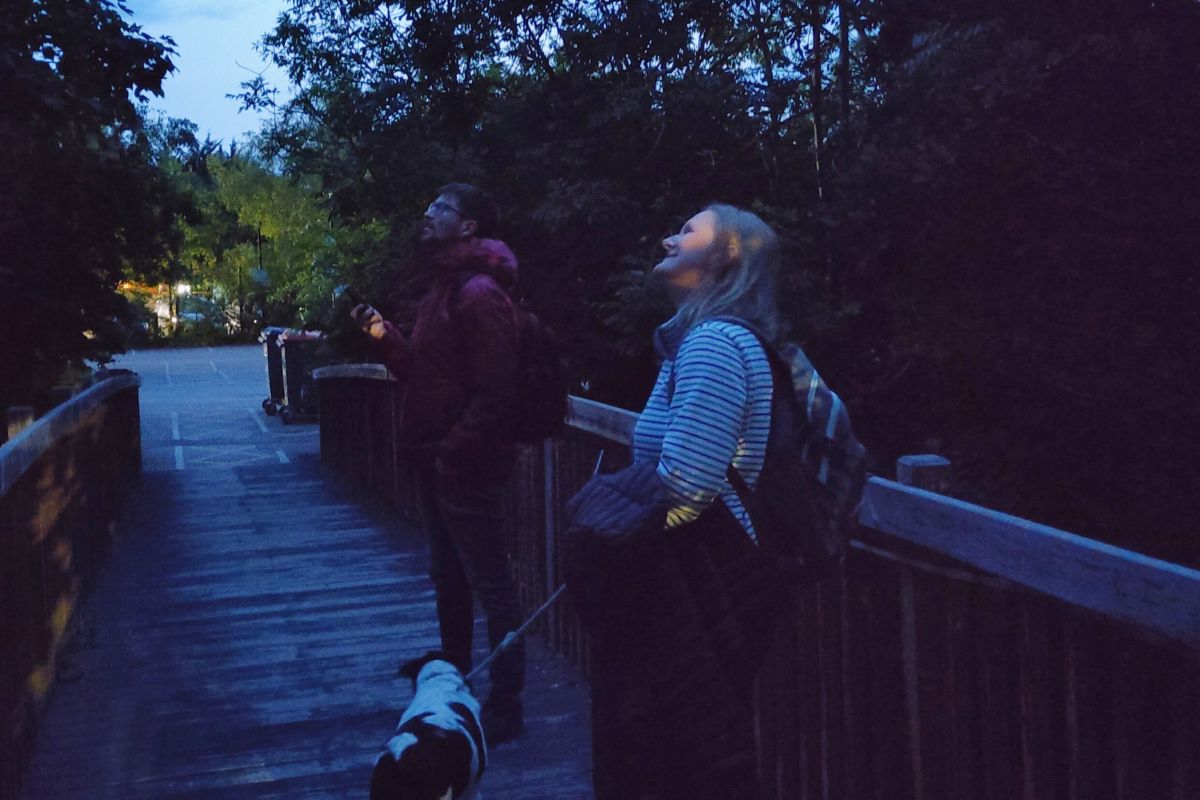 Two people looking up at something out of shot during a nature study