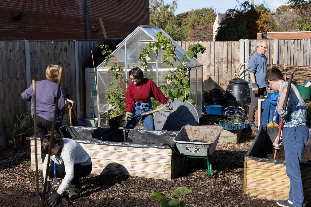 A group of people gardening