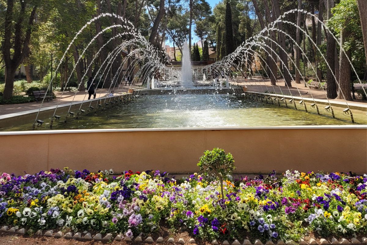 A water fountains feature in a park. At the front of the photo is a colourful flower bed.