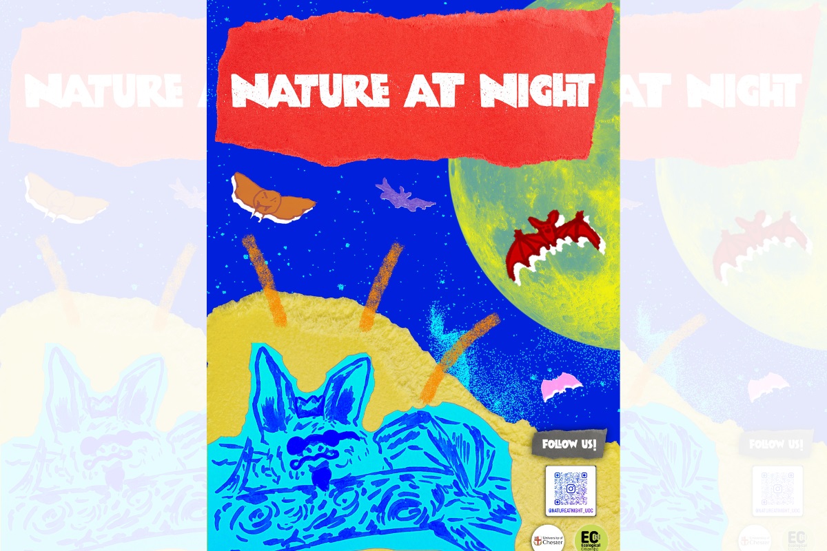 The cover of the Nature at Night zine, a colourful illustration with silhouettes of animals on a dark blue background.