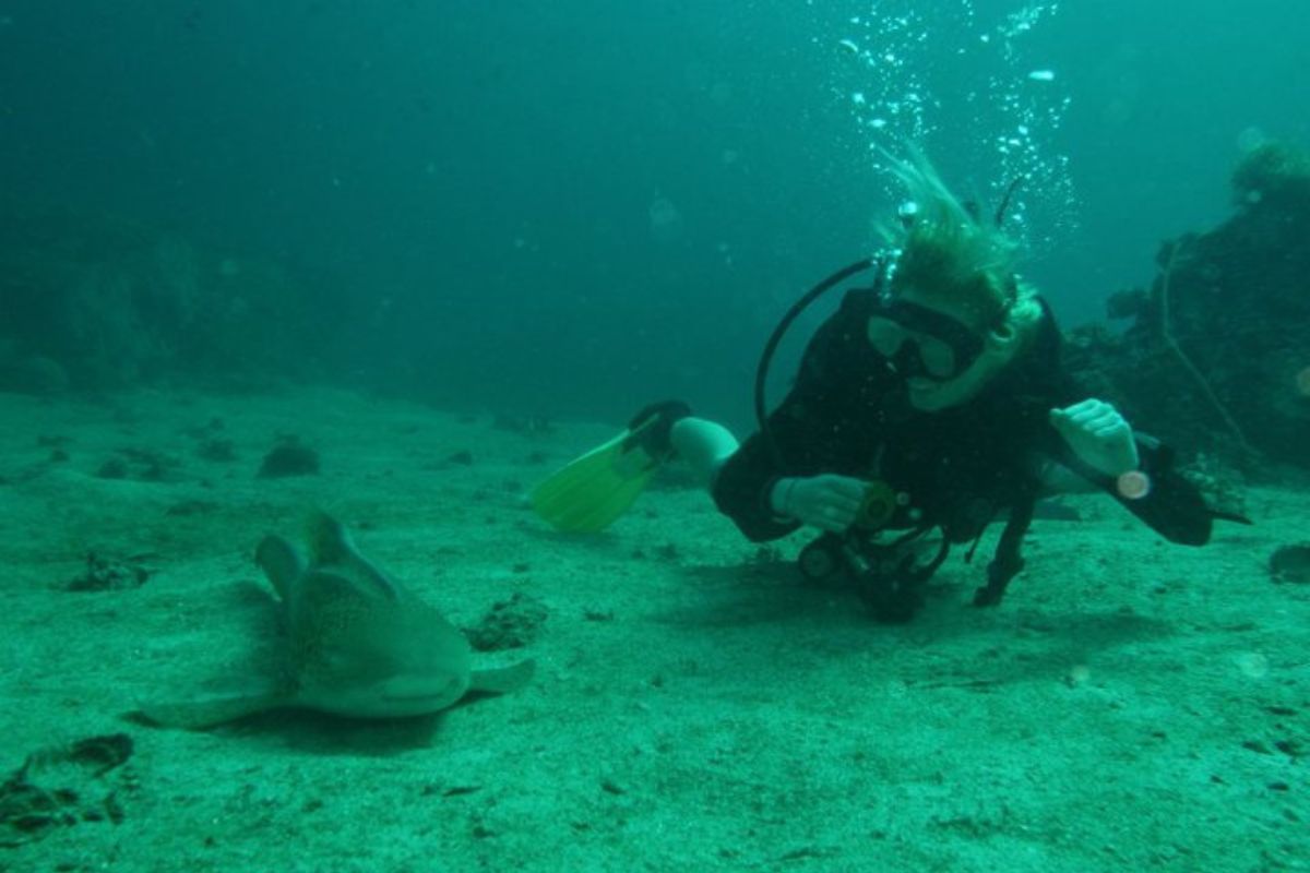 A woman in a diving outfit, underwater, looking at marine life on the seabed.