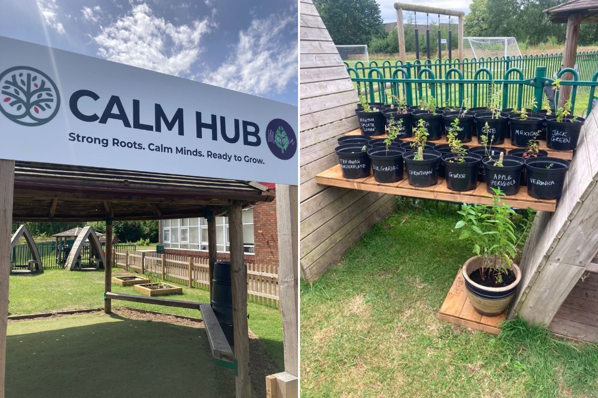Growing different varieties of mint at The Oaks Community Primary School in Ellesmere Port. Credit - The Oaks Community Primary School.