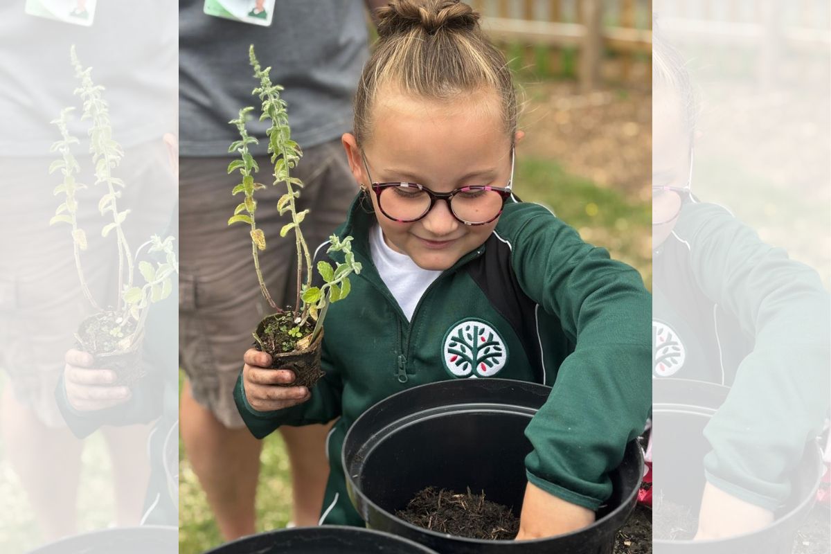 Planting different varieties of mint at The Oaks Community Primary School in Ellesmere Port. Credit - The Oaks Community Primary School.