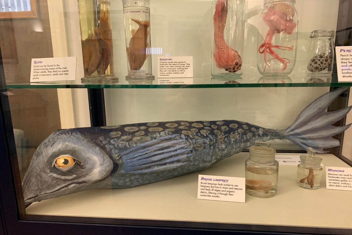 Work by Jess Birtwistle