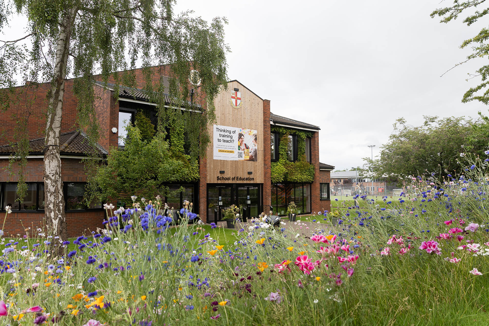 School of Education building in the background with pollinator flowers in the foreground