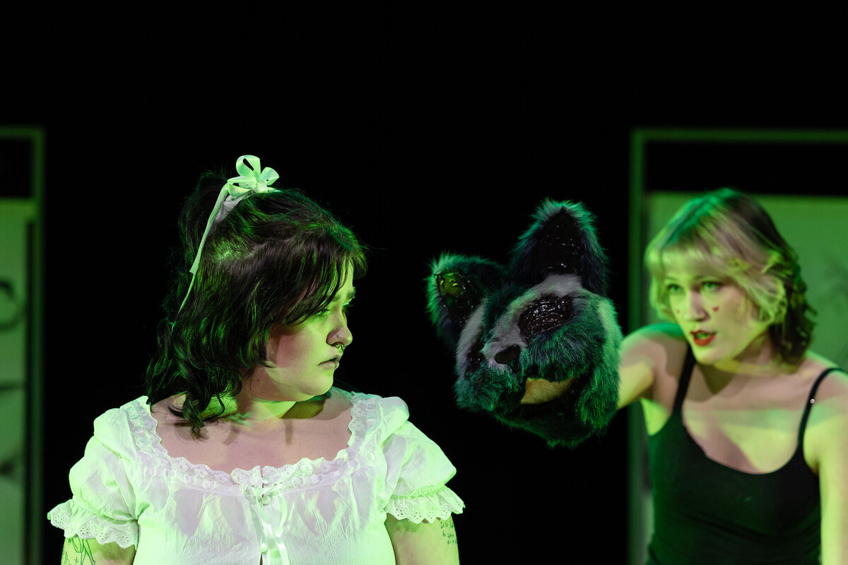alice and puppet