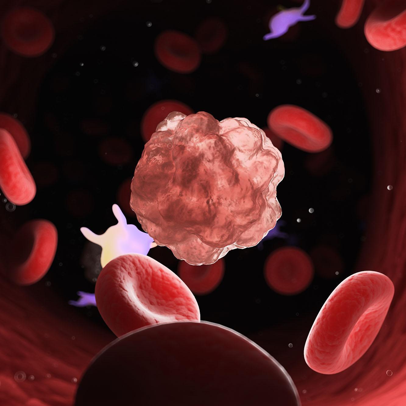 Illustration of red and white blood cells flowing through a blood vessel, highlighting haematology, blood cell analysis, diagnostic science and clinical laboratory research studied on the Haematology MSc programme.