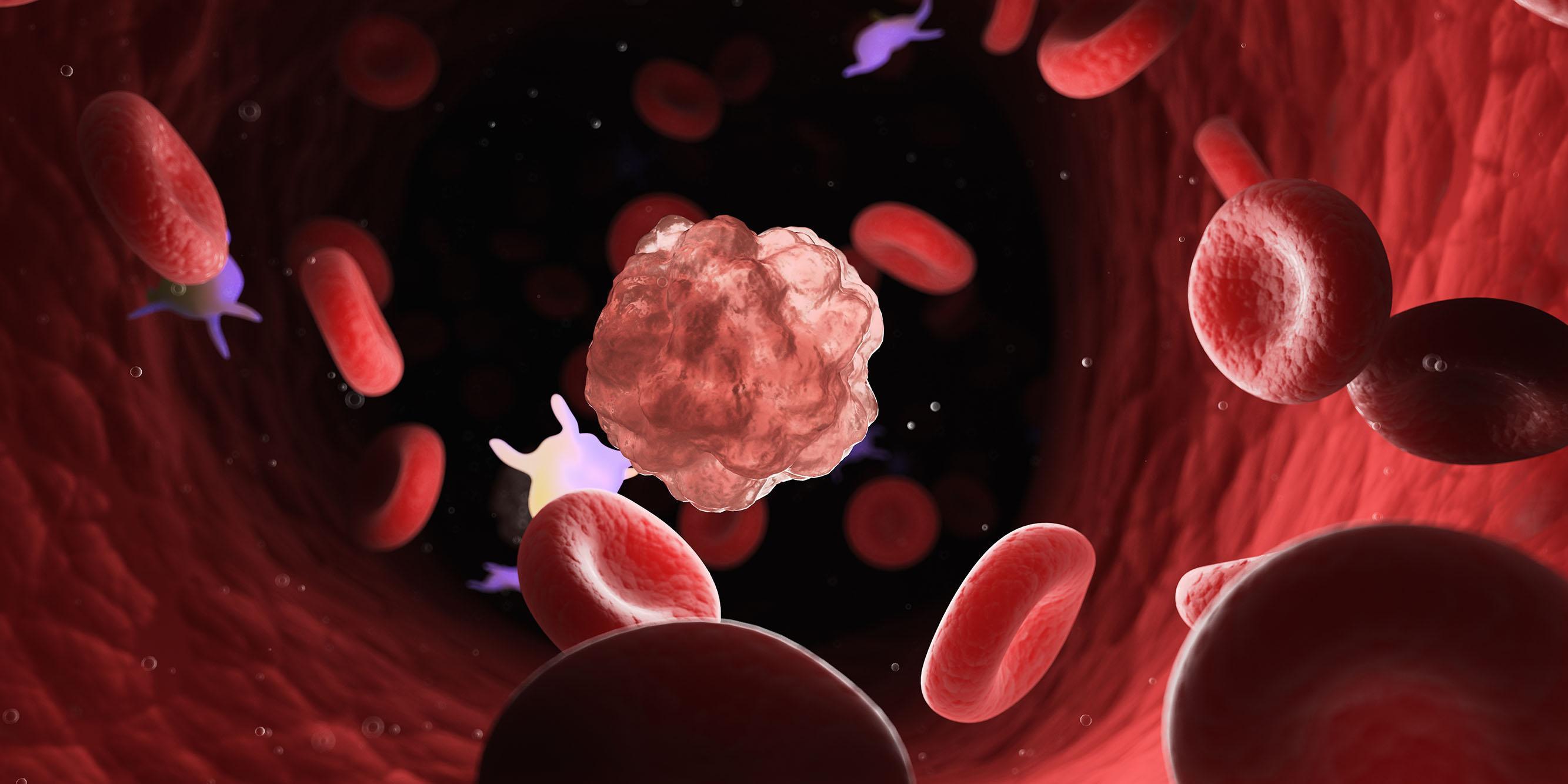Illustration of red and white blood cells flowing through a blood vessel, highlighting haematology, blood cell analysis, diagnostic science and clinical laboratory research studied on the Haematology MSc programme.