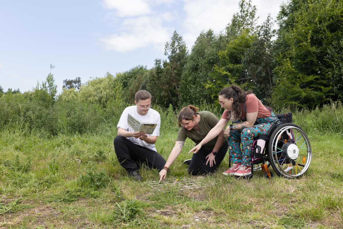 Three people, one in a wheelchair, examining an insect diagram, to observe insects on a field trip.
