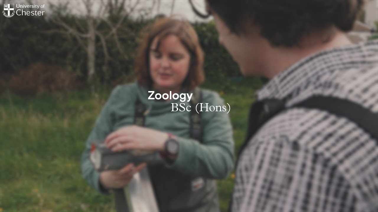 Zoology BSc (Hons) video