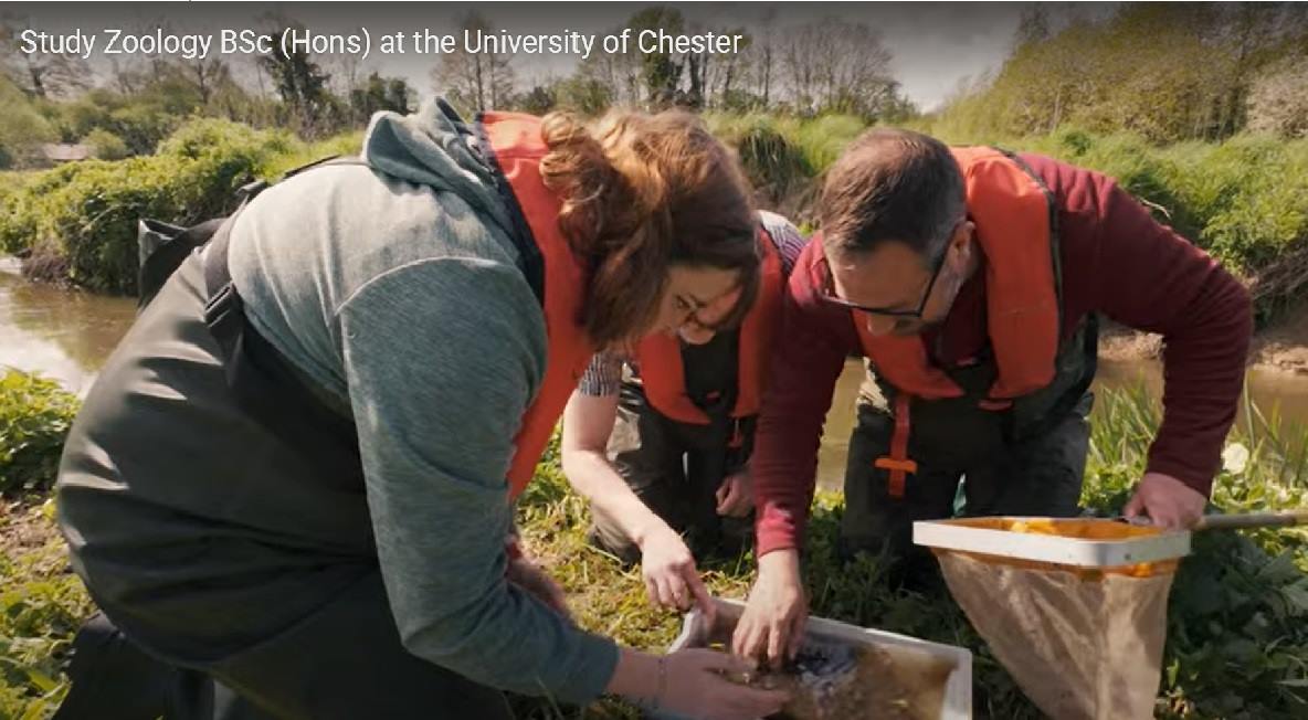 Zoology BSc (Hons) video, group of people on riverbank looking at wildlife.